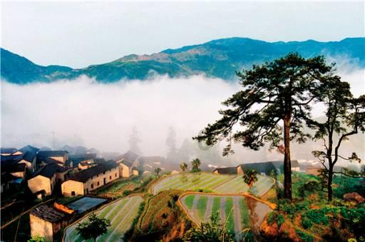 红云红河烟草(集团)原董事长武怡,被公诉!